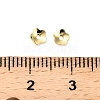304 Stainless Steel Bead Caps STAS-L285-007G-3