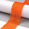 Transparent Glass Beads Strands LS-GLAA-H021-04-26-3