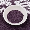 MIYUKI Delica Beads SEED-J020-DB2360-2
