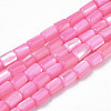 Natural Trochid Shell/Trochus Shell Beads Strands SHEL-N003-26-B04-1