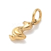 304 Stainless Steel Pendants STAS-C180-02B-G-2
