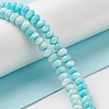 Gradient Color Dyed Natural Freshwater Shell Rondelle Bead Strands BSHE-XCP0001-08-2