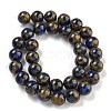 Synthetic Gold Clinquant Stone Beads Strands G-P549-A01-03A-2