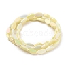 Electroplate Opaque Glass Beads Strands EGLA-J150-A-FR08-2