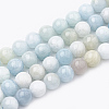 Natural Aquamarine Beads Strands G-S333-12mm-003-1