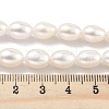 Natural Cultured Freshwater Pearl Beads Strands PEAR-P062-10F-5