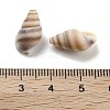 Natural Spiral Shell Beads BSHE-G038-06B-3