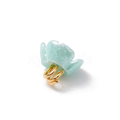 6Pcs Resin Imitation Pearl Charms PALLOY-JF03422-1