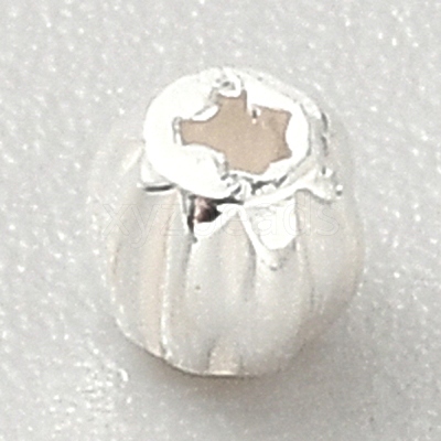 925 Sterling Silver Beads STER-WH0019-16A-1
