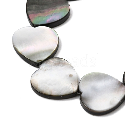 Natural Black Lip Shell Beads Strands BSHE-D300-06C-1
