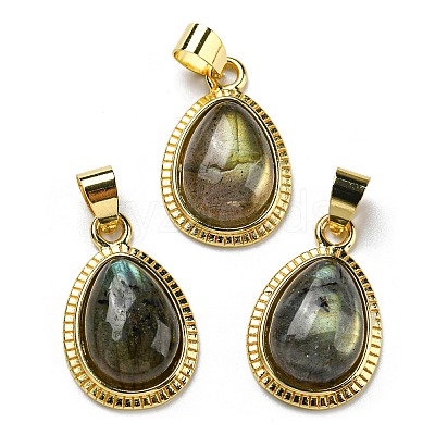 Natural Labradorite Pendants G-M405-05G-1