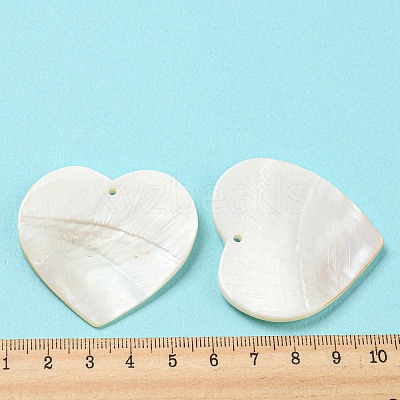 Natural Freshwater Shell Pendants SHEL-F008-01B-1