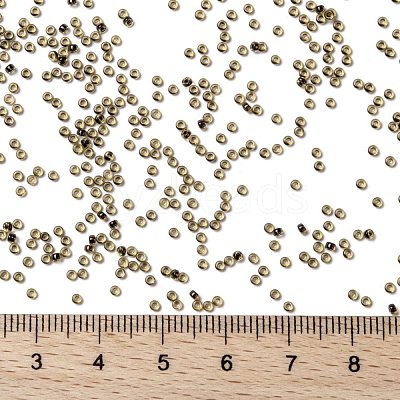 MIYUKI Round Rocailles Beads X-SEED-G009-RR0380-1