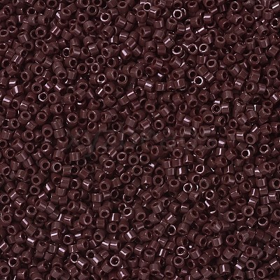 MIYUKI Delica Beads X-SEED-J020-DB1134-1