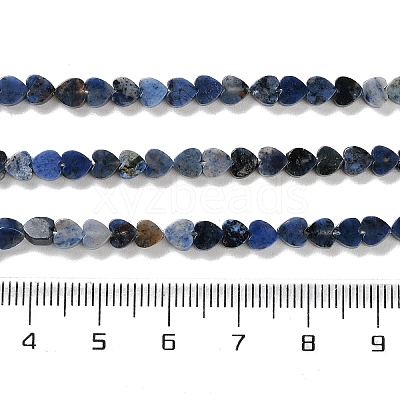 Natural Sodalite Beads Strands G-M403-A08-01-1
