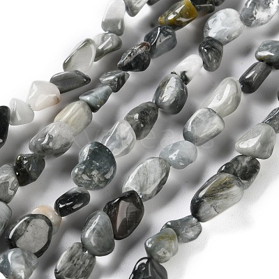 Natural Eagle Eye Stone Beads Strands X-G-P497-01C-52-1