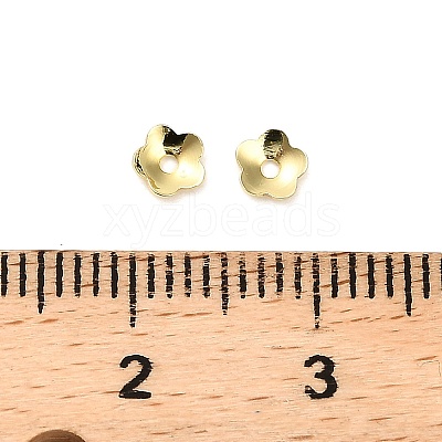 304 Stainless Steel Bead Caps STAS-L285-007G-1