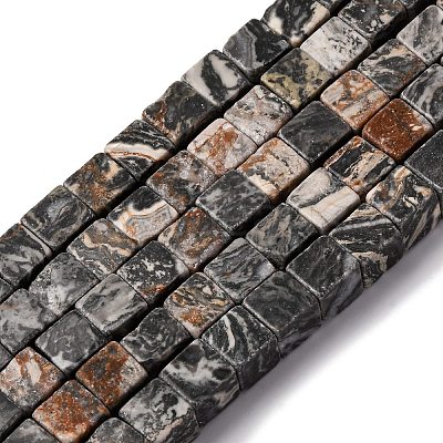 Natural Map Stone Beads Strands X-G-T139-8x8-45A-1