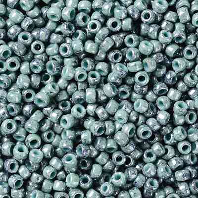 TOHO Round Seed Beads SEED-JPTR08-1207-1