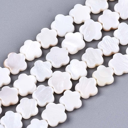 Natural Freshwater Shell Beads Strands SHEL-S276-111-1