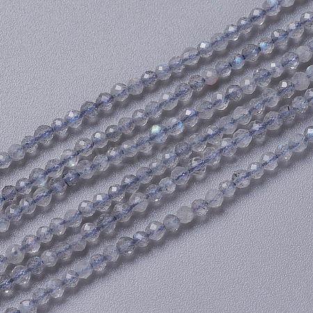Natural Labradorite Beads Strands G-F596-43-2mm-1