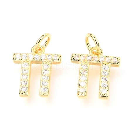 Brass Micro Pave Cubic Zirconia Charms ZIRC-O037-06G-1