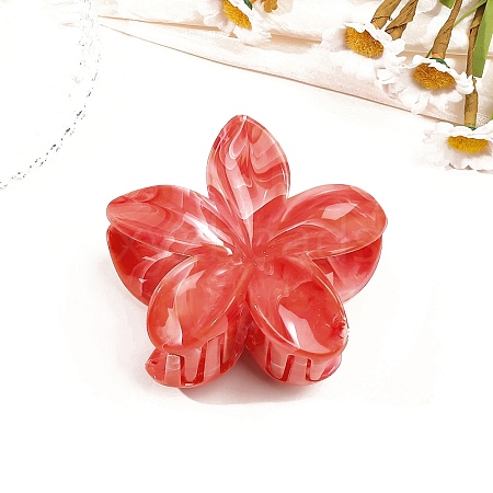 Resin Claw Hair Clips PW-WG0E0E6-07-1