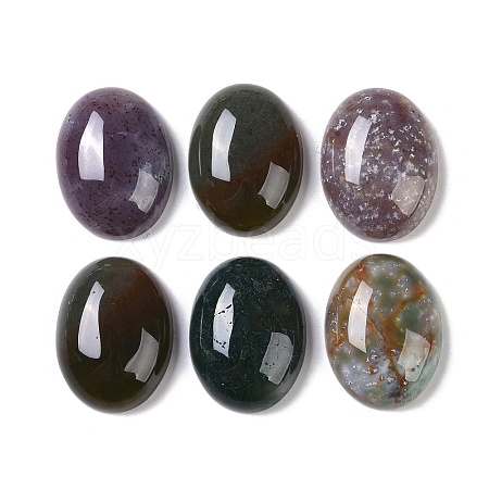 Natural Indian Agate Cabochons G-B080-01A-25-1